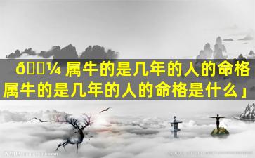 🌼 属牛的是几年的人的命格「属牛的是几年的人的命格是什么」